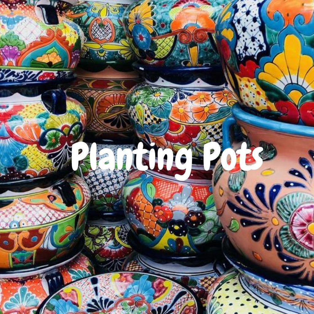 Planting Pots
