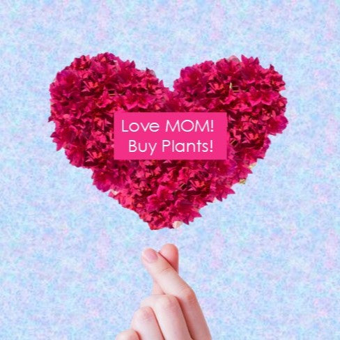 Love MOM 20% OFF