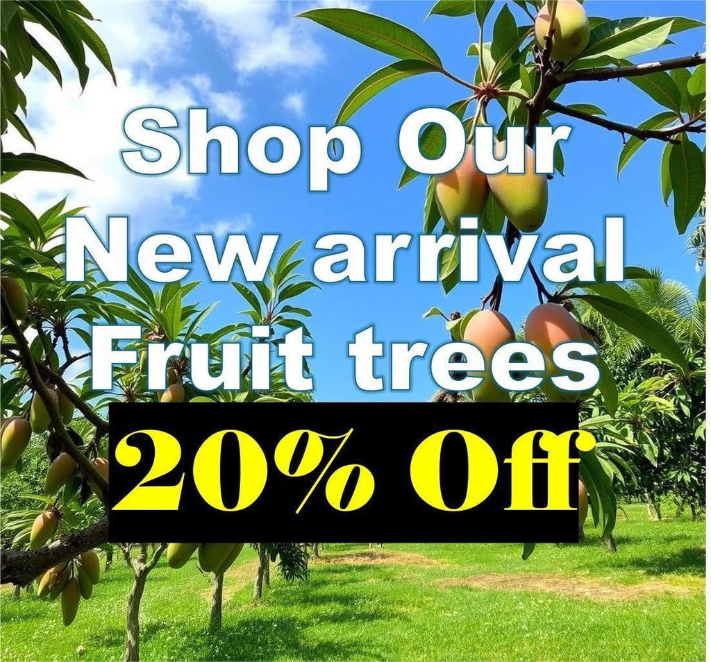 Enjoy our new arrival!