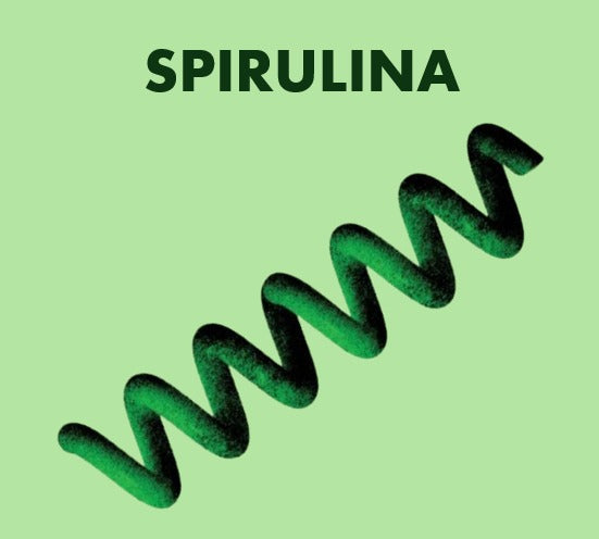 Spirulina Singapore IM Garden Mart